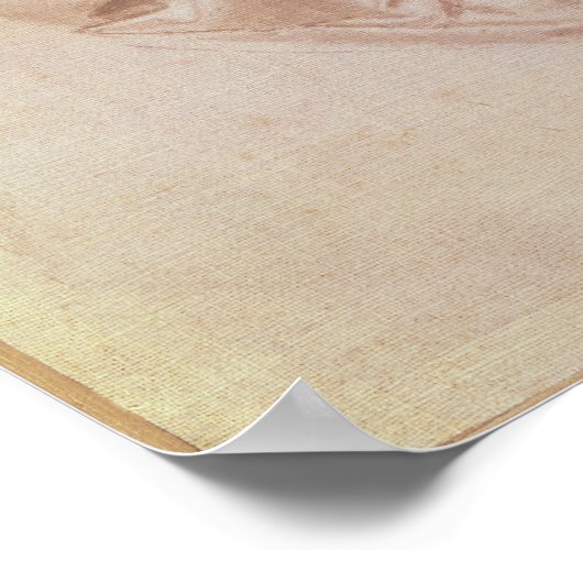 Drapery Studie Poster (Ecke)