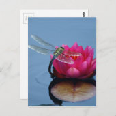 Draquelly On Lotus Flower Postkarte (Vorne/Hinten)