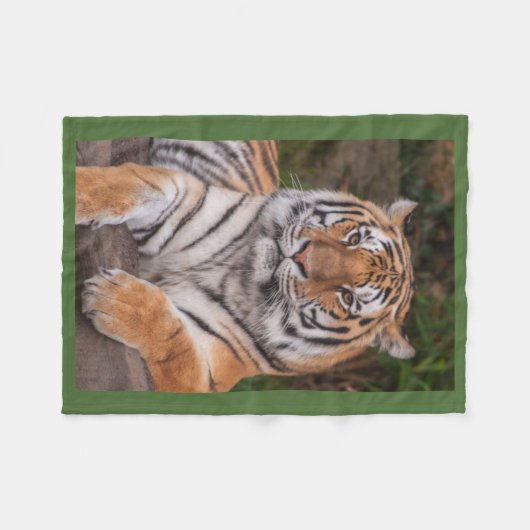 Drastische stillstehende Tiger-Fleece-Decke Fleecedecke (Vorderseite (Horizontal))