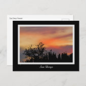 Drastischer Sonnenuntergang-Vogel-San Diego rosa Postkarte (Vorne/Hinten)