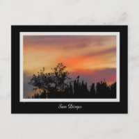 Drastischer Sonnenuntergang-Vogel-San Diego rosa