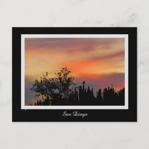 Drastischer Sonnenuntergang-Vogel-San Diego rosa Postkarte