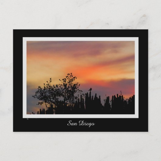 Drastischer Sonnenuntergang-Vogel-San Diego rosa Postkarte (Vorderseite)