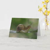 Drat! Noch einmal. Karte (Gelbe Blume)