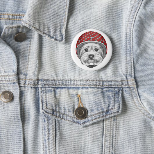 Draufgänger Yorkshires Terrier Button (Beispiel)
