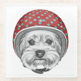 Draufgänger Yorkshires Terrier Glasuntersetzer