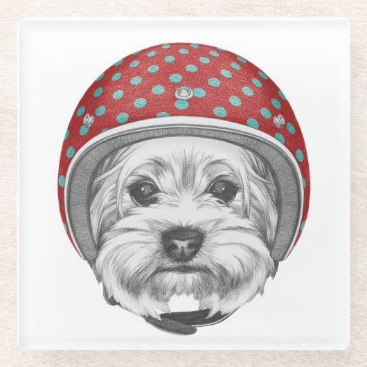 Draufgänger Yorkshires Terrier Glasuntersetzer (Vorderseite)