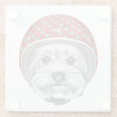 Draufgänger Yorkshires Terrier Glasuntersetzer (Rückseite)