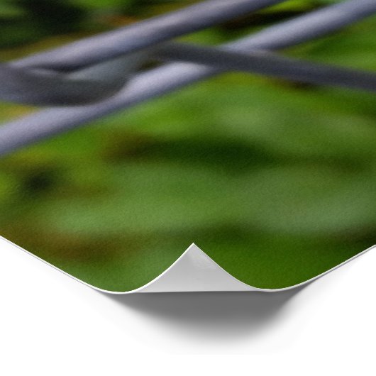 draußen im Regen Poster (Ecke)