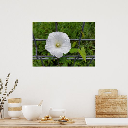 draußen im Regen Poster (Küche)