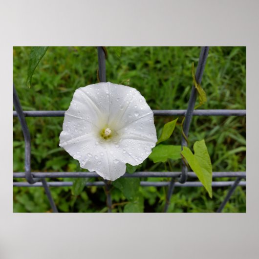 draußen im Regen Poster (Vorne)