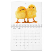 Dream Big Calendar Kalender (Mär 2027)