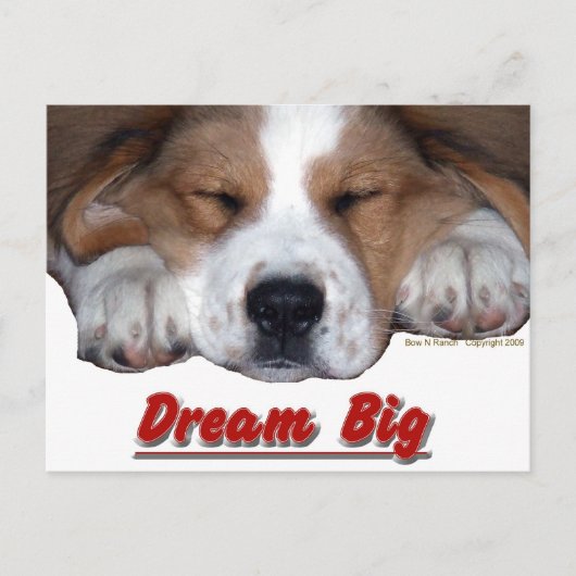 Dream Big Dog Postkarte (Vorderseite)