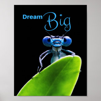 Dream Big Dragonfly Motivierend Matt Poster