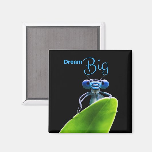 Dream Big Dragonfly Motivierend Zitat Magnet (Vorderseite/Rückseite)