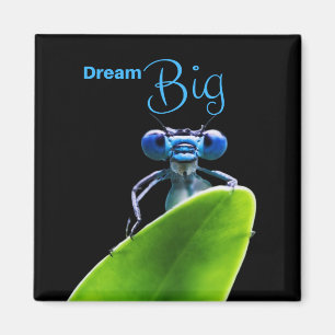 Dream Big Dragonfly Motivierend Zitat Magnet