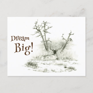Dream Big Elch Postcross Postcard Postkarte
