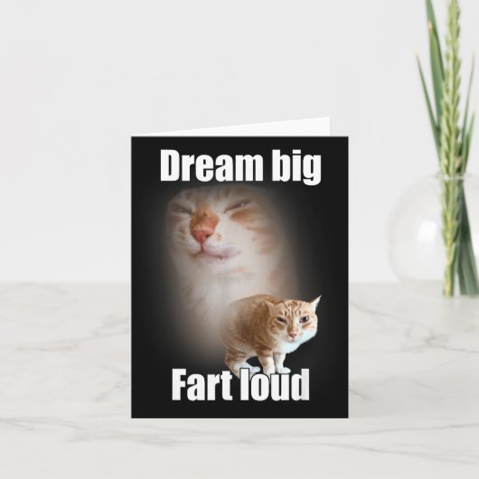 Dream Big Fart Loud Cat Meme Funny Saying Karte (Vorderseite)