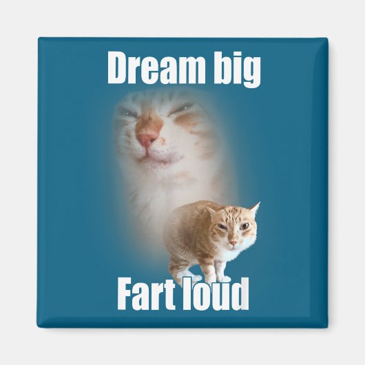 Dream Big Fart Loud Cat Meme Funny Saying Magnet (Vorne)