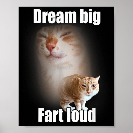 Dream Big Fart Loud Cat Meme Funny Saying  Poster (Vorne)