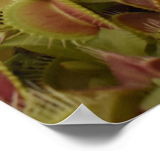 Dream Big not small. Poster (Ecke)