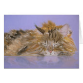 Dream Cat Card (Vorderseite (Horizontal))