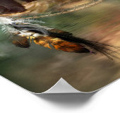 Dream Catcher Series-Spirit of the Bären Poster (Ecke)