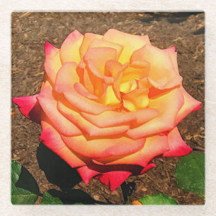 Dream Come True Rose 3 Glass Untersetzer