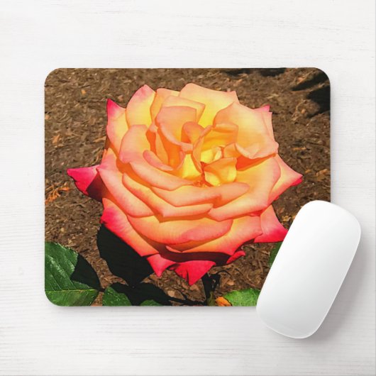 Dream Come True Rose 3 Mouse Pad Mousepad (Mit Mouse)