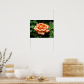 Dream Come True Rose Poster (Küche)