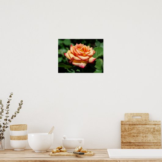 Dream Come True Rose Poster (Küche)