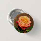 Dream Come - wahre Rose #3 - Schaltfläche Button (Vorne & Hinten)