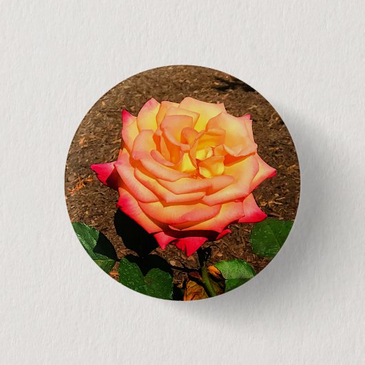 Dream Come - wahre Rose #3 - Schaltfläche Button (Vorderseite)