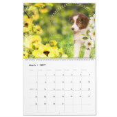 Dream Fantasy Art Tierkalender Kalender (Mär 2027)