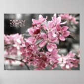 Dream Garden Poster (Vorne)