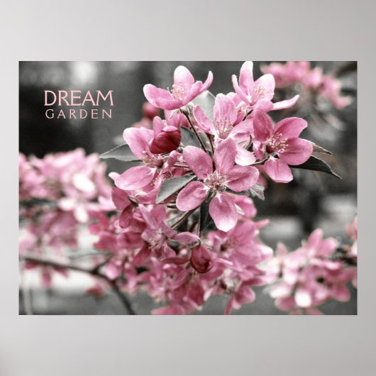 Dream Garden Poster (Vorne)