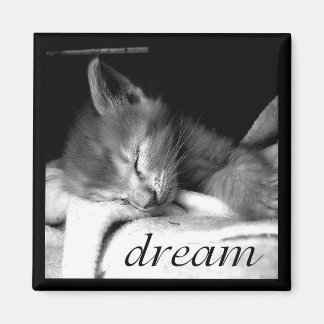 Dream Kitten - Magnet
