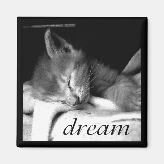 Dream Kitten - Magnet (Vorne)