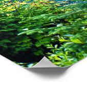 Dream Lake Alaska, USA & Forested Mountains Foto Poster (Ecke)