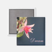 Dream Magnet (Vorderseite/Rückseite)