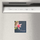 Dream Magnet (In Situ (Geschirrspüler))