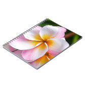 Dream Palette: Franjipani flower Notizblock (Linke Seite)