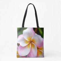 Dream Palette: Franjipani flower