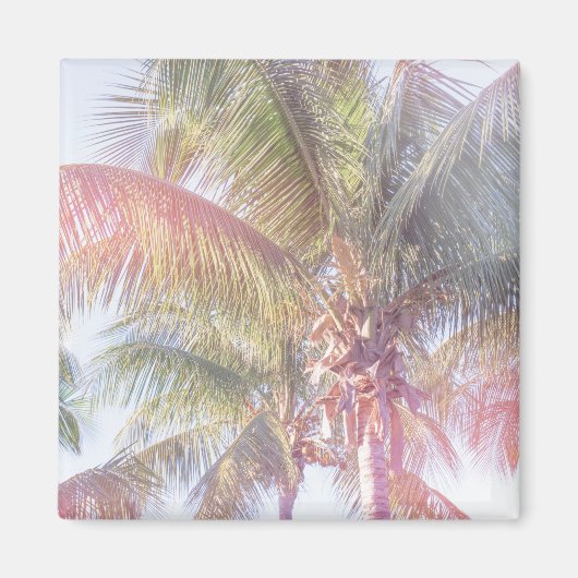 Dream Palm Tree Magnet (Vorne)