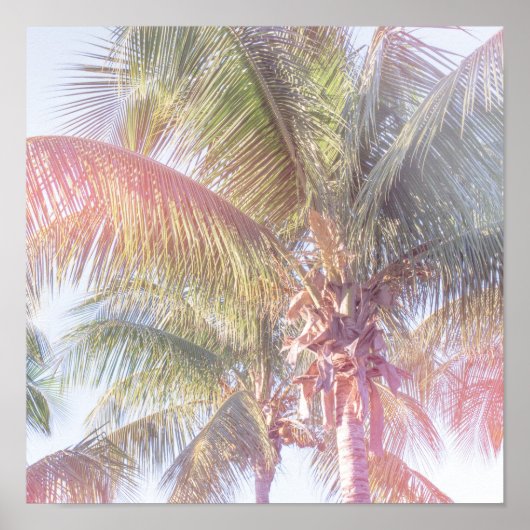 Dream Palm Tree Poster (Vorne)