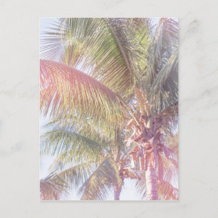 Dream Palm Tree Postkarte