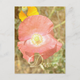 Dream Poppy Floral Postkarte