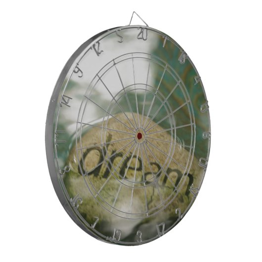 Dream Rock Dartscheibe (Vorderseite Links)
