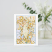 Dream Rose Buds Blume Fairy Postkarte (Stehend Vorderseite)