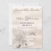 Dream Shore Beach Sepia Wedding Save the Date (Vorderseite)